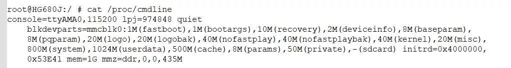 执行命令查看分区表