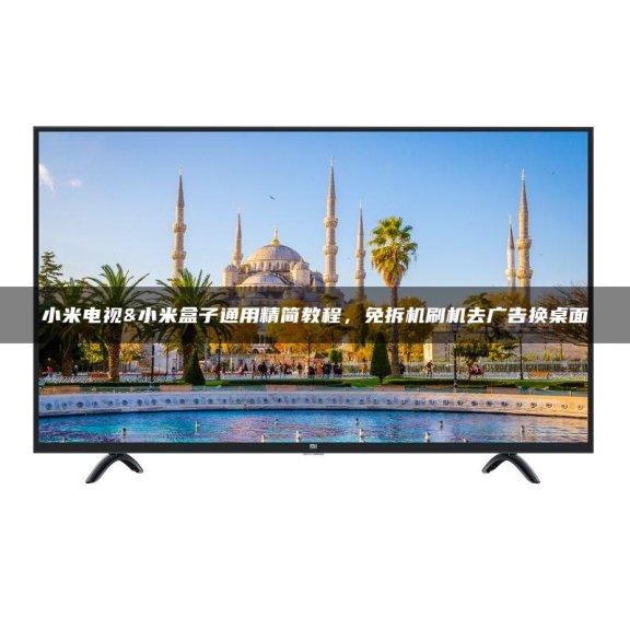 小米电视&小米盒子通用精简教程，免拆机刷机去广告换桌面