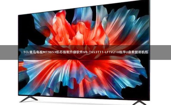TCL雷鸟电视MT9653机芯强制升级软件V8-T653T11-LF1V210程序U盘数据刷机包